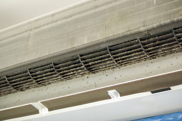 Air Duct Mold Removal in Harleysville, PA